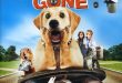 new Dog Gone Movie