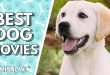 best Dog Movies