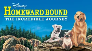 Homeward Bound movie