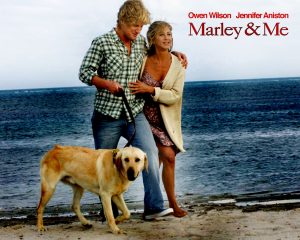 Marley and Me Movie