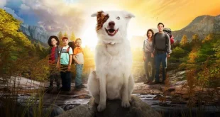 Best Stray Dog Movie 2023