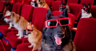 Top Dogs Movies in 2024
