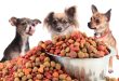 Dog Food For Small Breeds