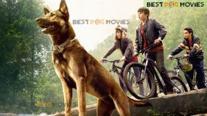 Best Dog Movies in the world