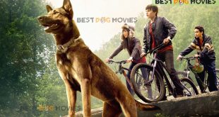Best Dog Movies in the world