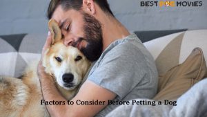 Consider Before Petting a Dog