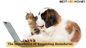 Respecting Boundaries