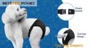 top dog diapers in 2024