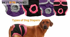 Type of Dog Diapers