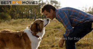 Movies for Dog Lovers in 2024